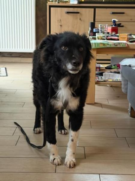 Nana sucht ihr Zuhause