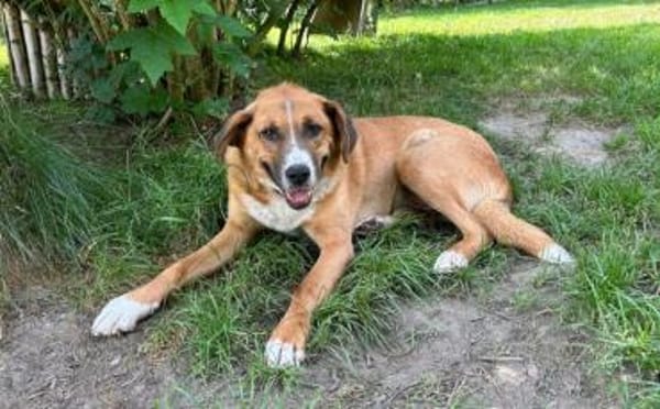 Stian ist ein sanfter & liebevoller <3