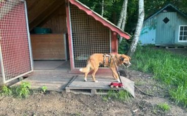 Stian ist ein sanfter & liebevoller <3