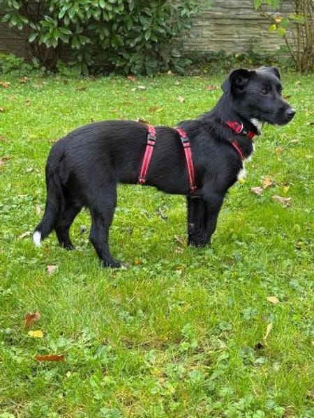 PÜPPI-sanfte Schönheit, 32 cm(w)