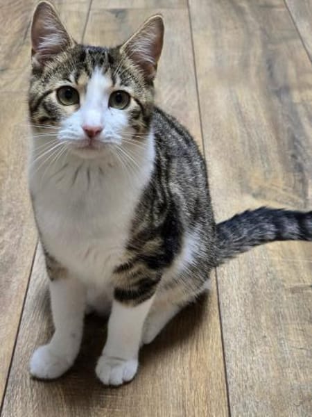 SALLY - sucht ihr großes Glück!