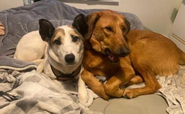 Fine sucht ihren sicheren Hafen