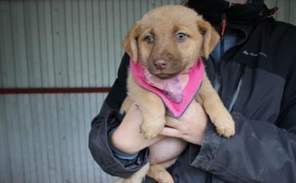 Süß, süßer...Ellie