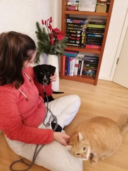 Aang sucht sein Zuhause