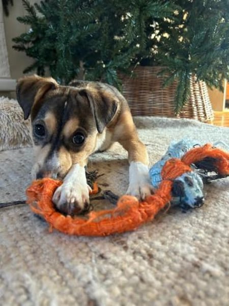 🌞 Felix  6 Monate kleiner Sonnenschein