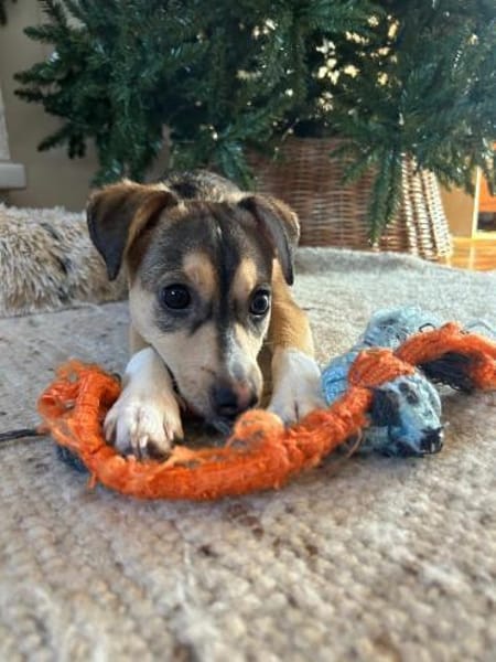 🌞 Felix  6 Monate kleiner Sonnenschein