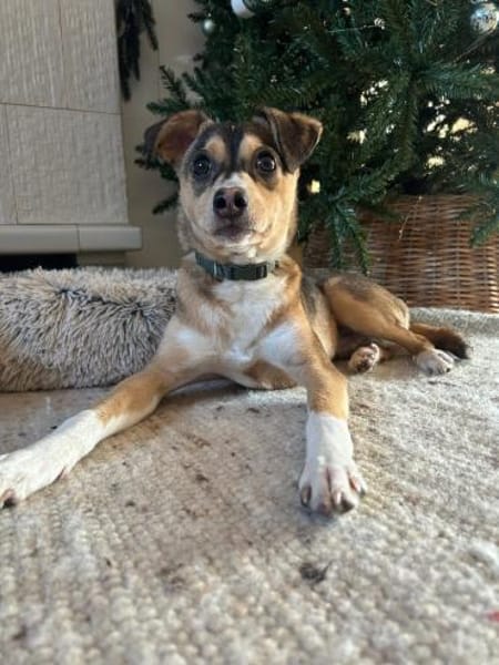 🌞 Felix  6 Monate kleiner Sonnenschein