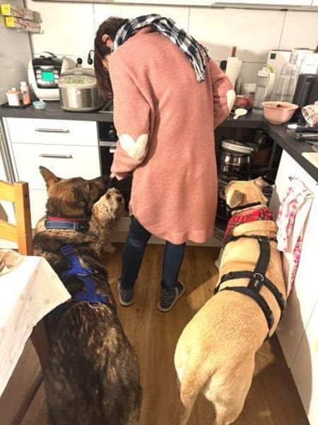 Hosé ich suche eine tolle Familie