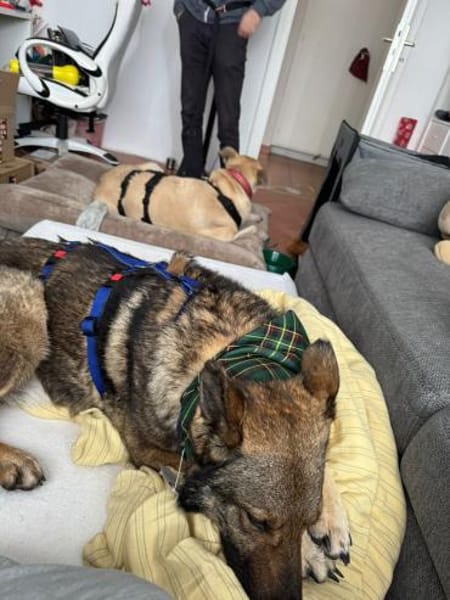 Hosé ich suche eine tolle Familie