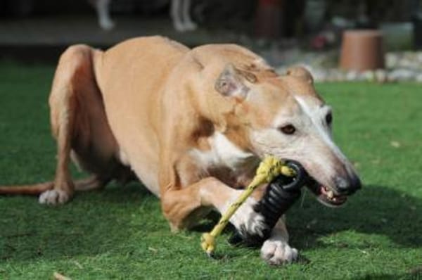 Nerea - ein feines und liebes Mädchen