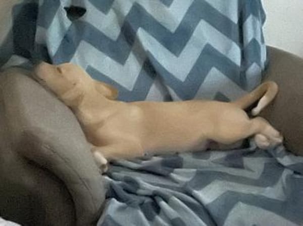 Kleiner Yaro🌺sucht liebevolles Zuhause