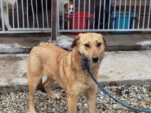 Kiyuga - menschenbezogen u. kinderlieb