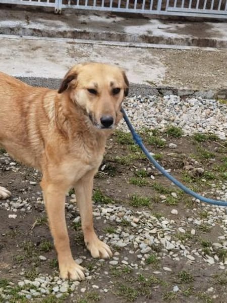 Kiyuga - menschenbezogen u. kinderlieb