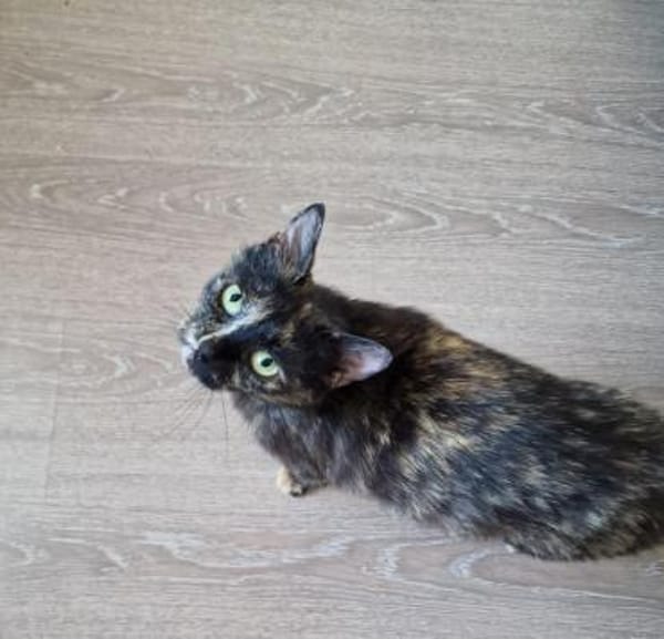 Daisy, mit mir kommt Freude ins Haus