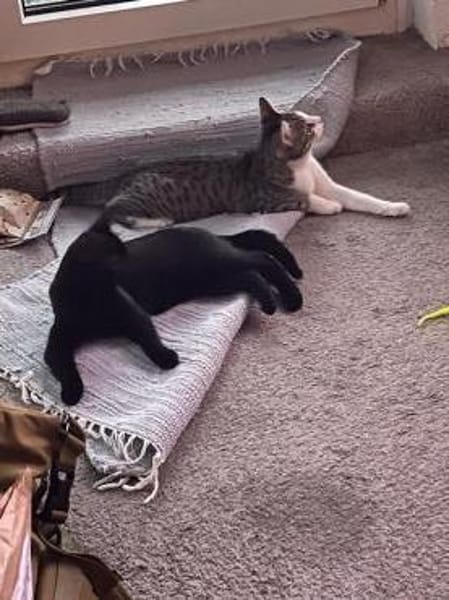 Ungleiches Pärchen Anna & Sepp