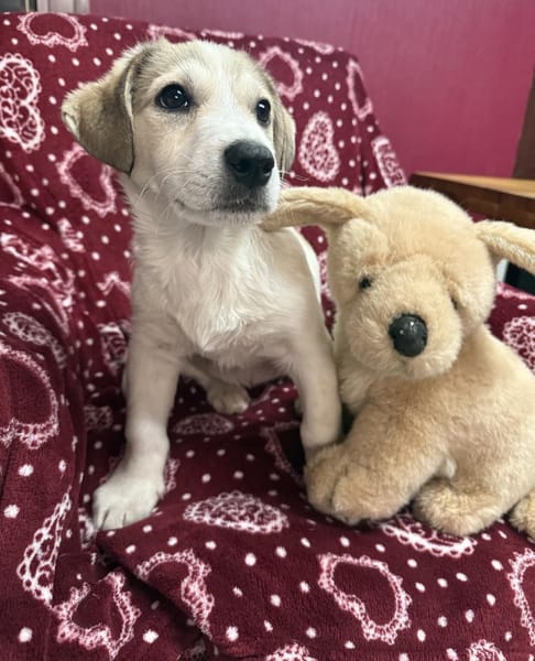 Kelly ein liebes Mädchen