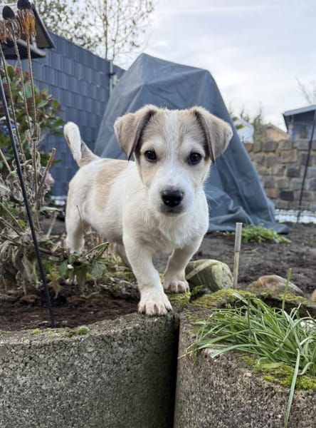 Kelly ein liebes Mädchen