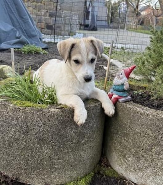 Kelly ein liebes Mädchen