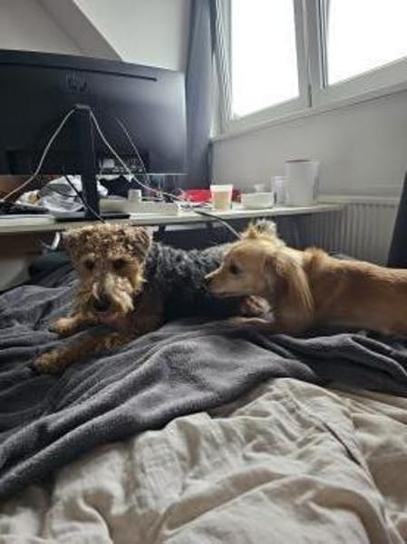 Kleiner MIO sucht ländliches Zuhause!