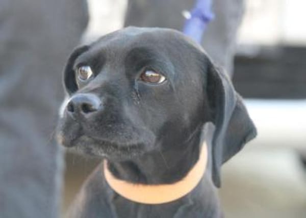 Tanita (40 cm) hat man sofort lieb!