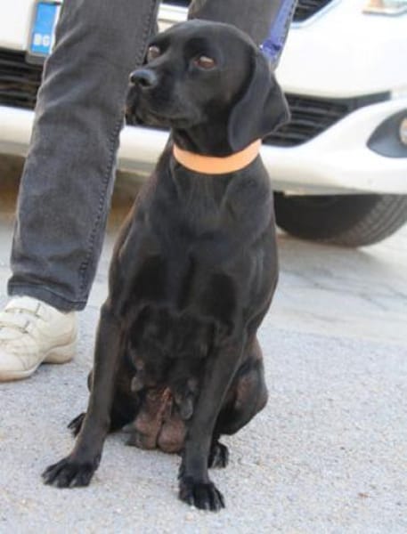 Tanita (40 cm) hat man sofort lieb!