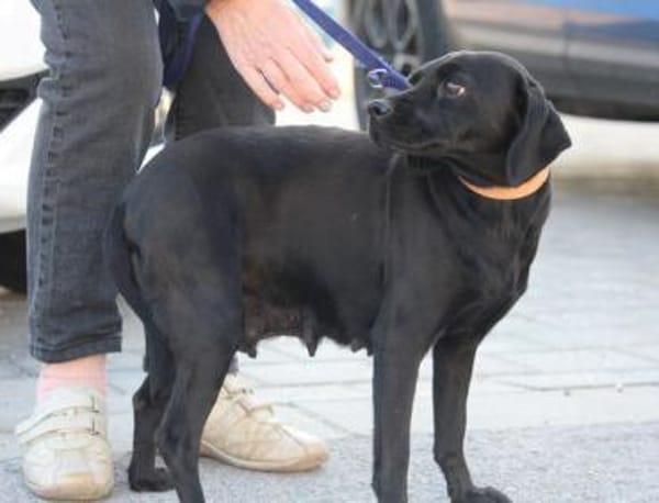 Tanita (40 cm) hat man sofort lieb!