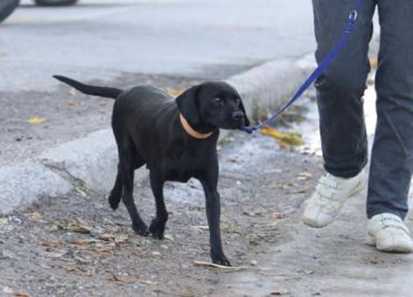 Tanita (40 cm) hat man sofort lieb!