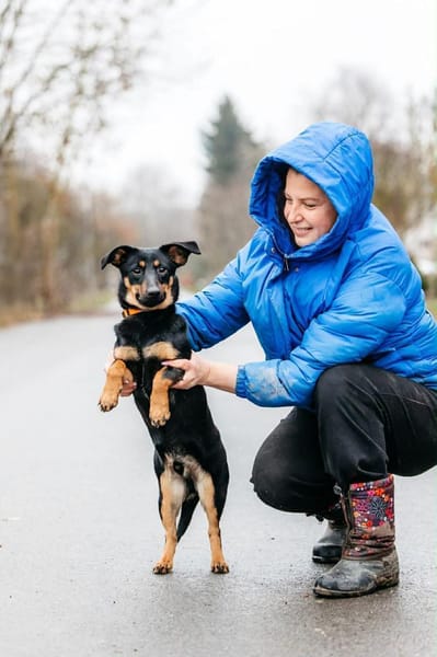 Verschmuster Rudi sucht seine Menschen