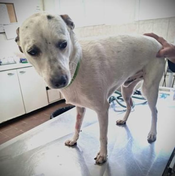 💔Mein Name ist Georgy...