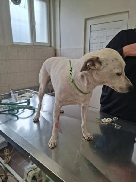 💔Mein Name ist Georgy...