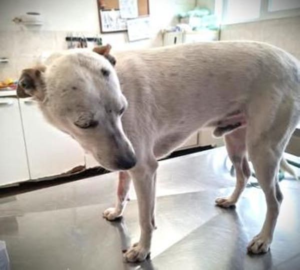 💔Mein Name ist Georgy...