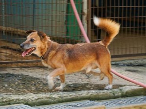 AMON wartet auf sein eigenes Körbchen