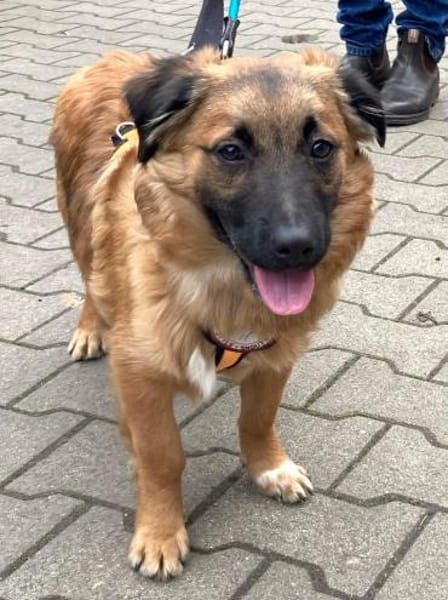 Haribo auf PS in Köln