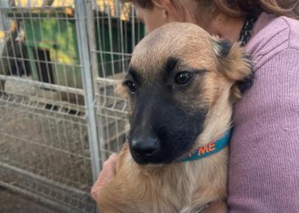 Holly auf PS in Staßfurt