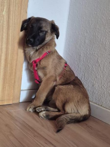 Holly auf PS in Staßfurt