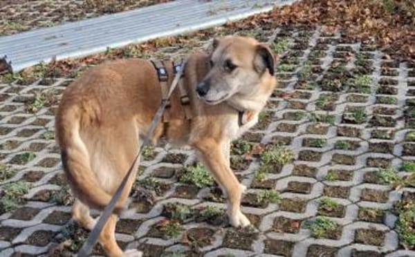verkuschelte Marysia sucht ihren Hafen
