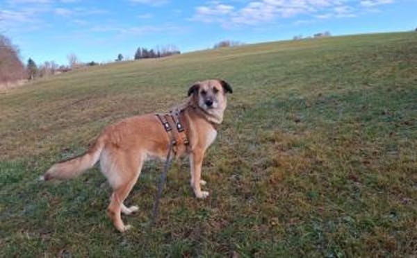 verkuschelte Marysia sucht ihren Hafen