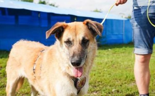 verkuschelte Marysia sucht ihren Hafen