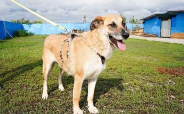 verkuschelte Marysia sucht ihren Hafen
