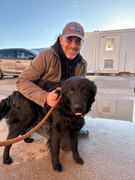 Nick / Niko Rüde Mischling Junghund