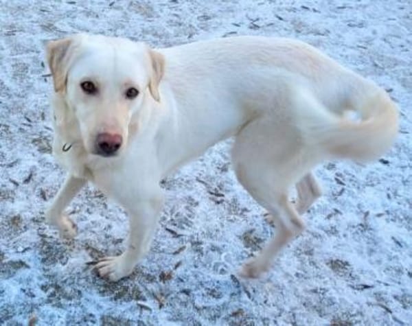 PAMUK wurde im Stich gelassen