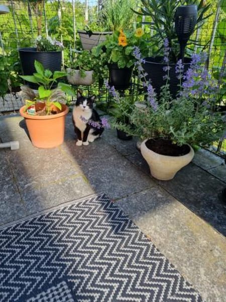 Schüchterne Dunia in FFM (ALM)