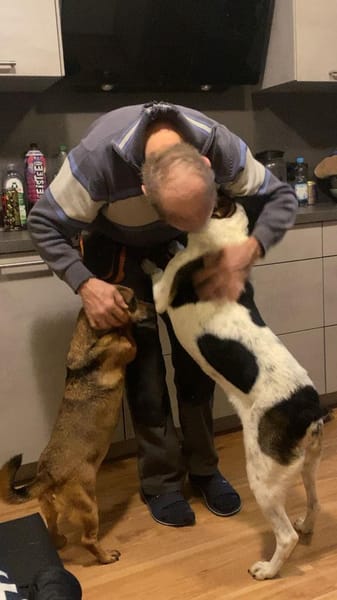 Pepper - auf Pflegestelle in Birnbach