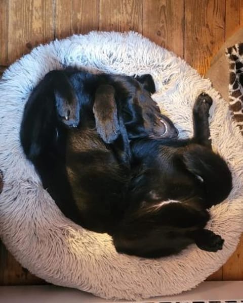 junger Levin wartet in Frankfurt .....