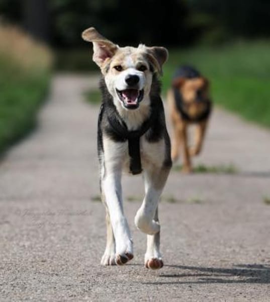 PLUMA  ☀ unser purer Sonnenschein