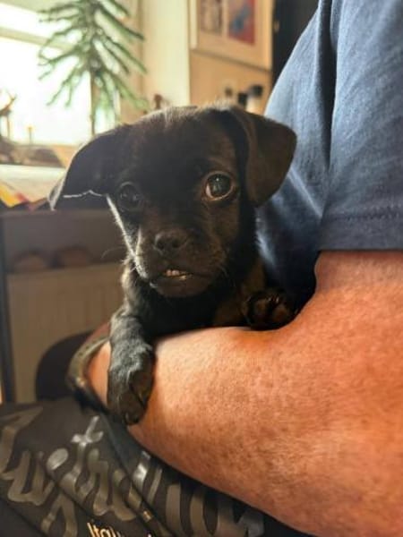 Süße Cookie sucht Kuschelflat