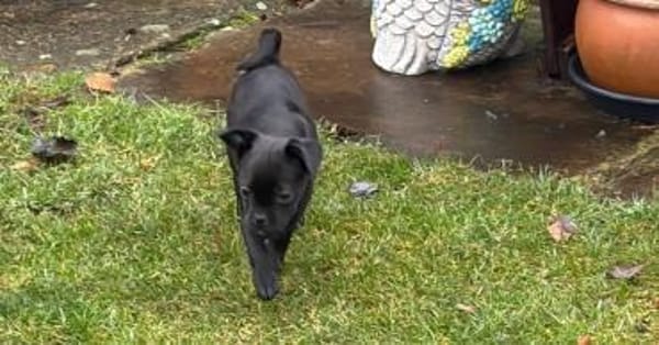 Süße Cookie sucht Kuschelflat