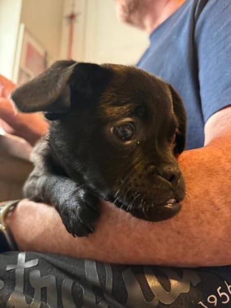 Süße Cookie sucht Kuschelflat