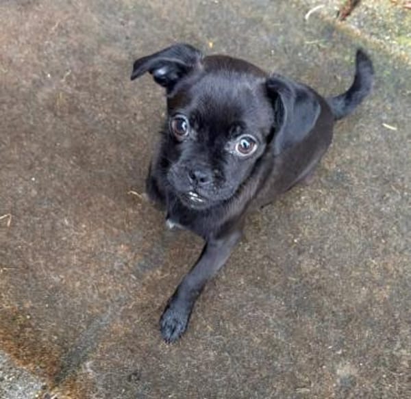 Süße Cookie sucht Kuschelflat