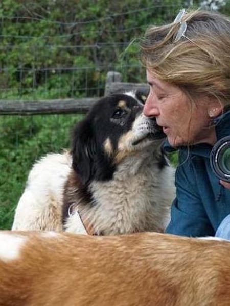 Peppe sucht eine liebe + aktive Familie